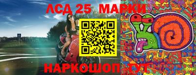 амф Славгород