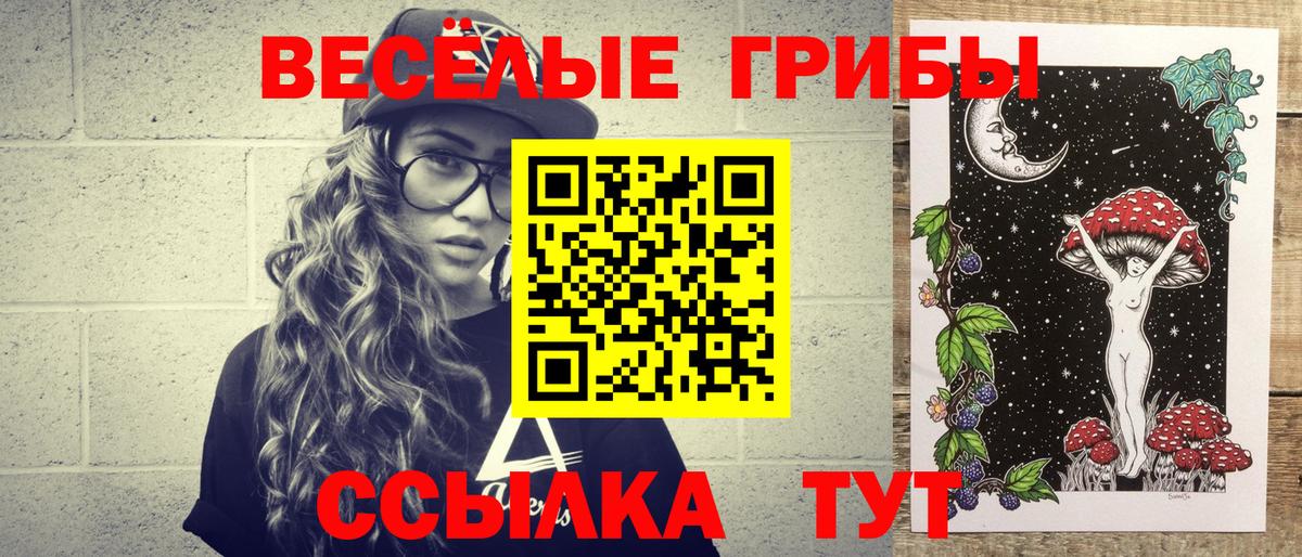 Нарткала  Псилоцибиновые грибы GOLDEN TEACHER  Вход с VPN 